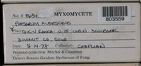 Image Associated With the Occurence